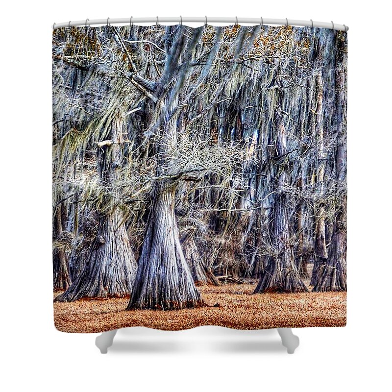 Caddo Lake Shower Curtain featuring the photograph Bald Cypress in Caddo Lake by Sumoflam Photography