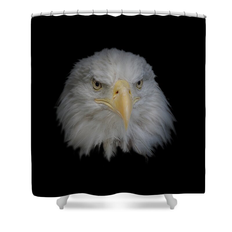 Animal Shower Curtain featuring the photograph Bald Eagle 1 by Ernest Echols