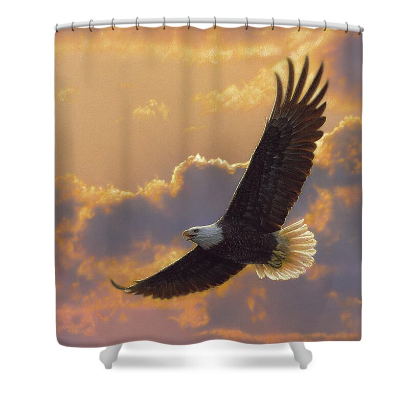 Bald Eagle Art Shower Curtain featuring the painting Bald Eagle - Soaring Spirit by Collin Bogle