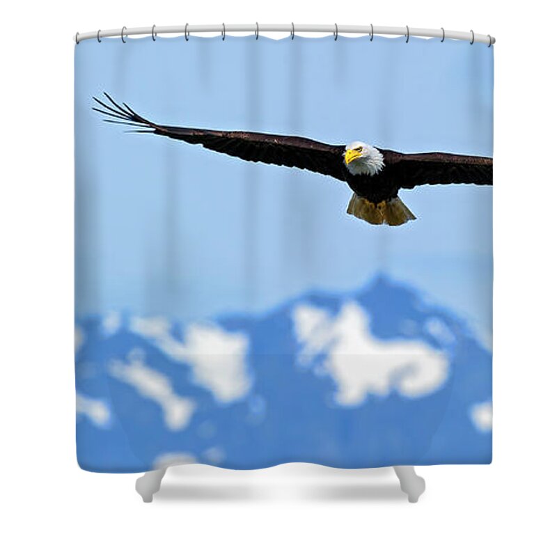 Hood Shower Curtain featuring the photograph Bald Eagle Soars over Hood Canal by Gary Langley