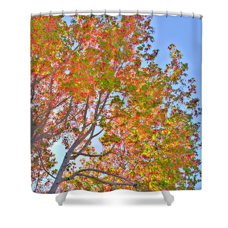 Fall Shower Curtain featuring the photograph Ball to the Wall Fall by Derek Dean
