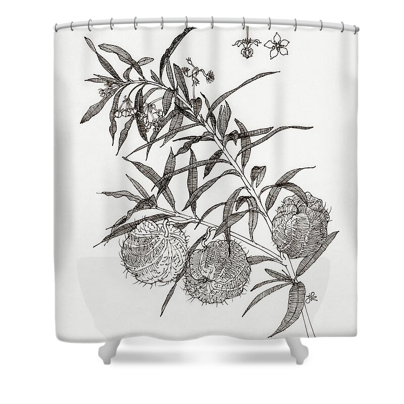 Plant Shower Curtain featuring the drawing Balloon Plant by Judith Kunzle
