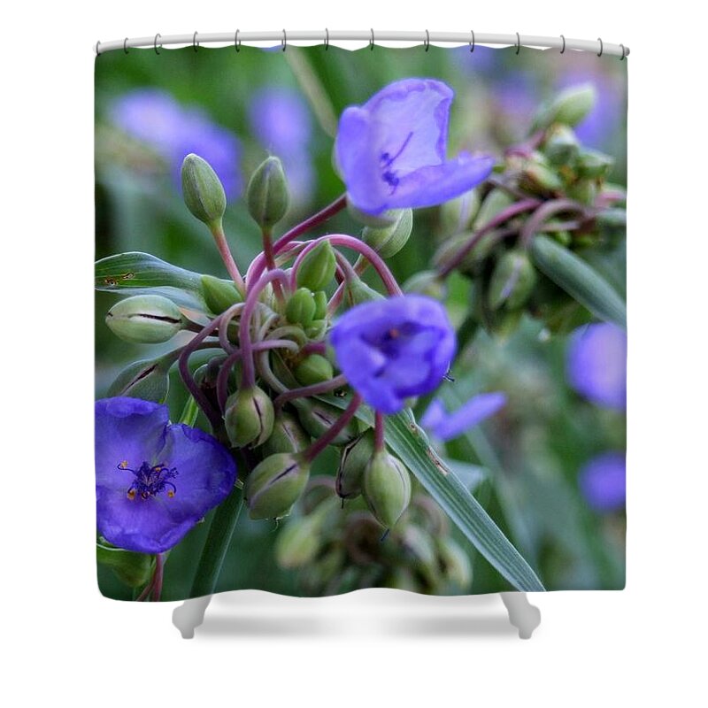 Macro Shower Curtain featuring the photograph Balmy Blue by Michiale Schneider