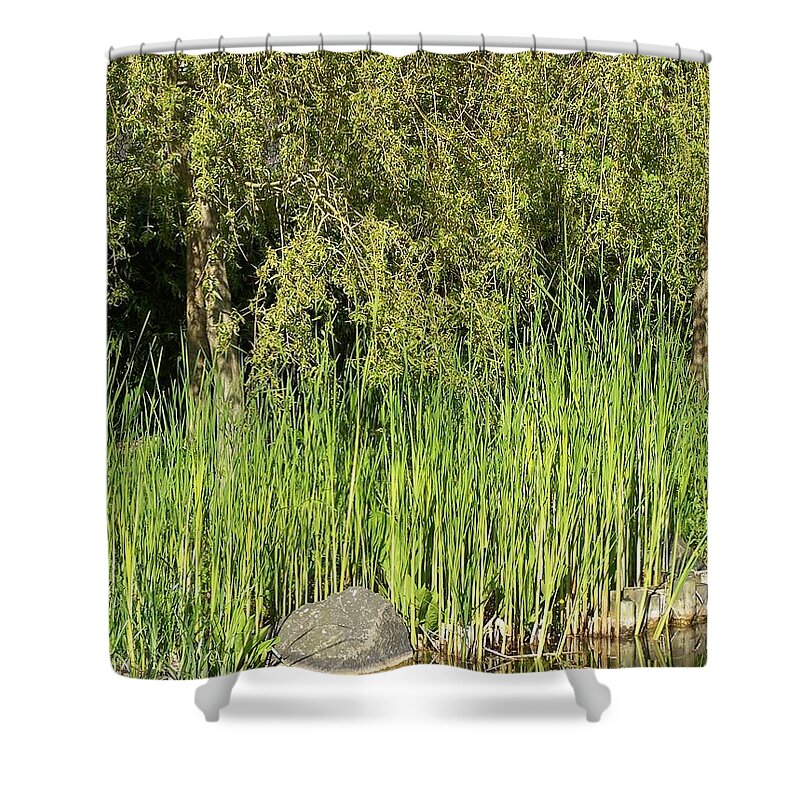Green Bamboo Shower Curtain featuring the photograph Bamboo at the Pond by Elena Perelman