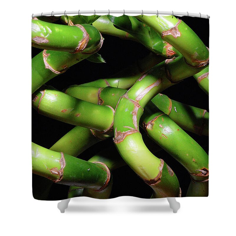 Bamboo Shower Curtain featuring the photograph Bamboozle by Ted Keller