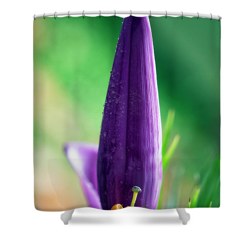 Granger Photography Shower Curtain featuring the photograph Banana Flower by Brad Granger