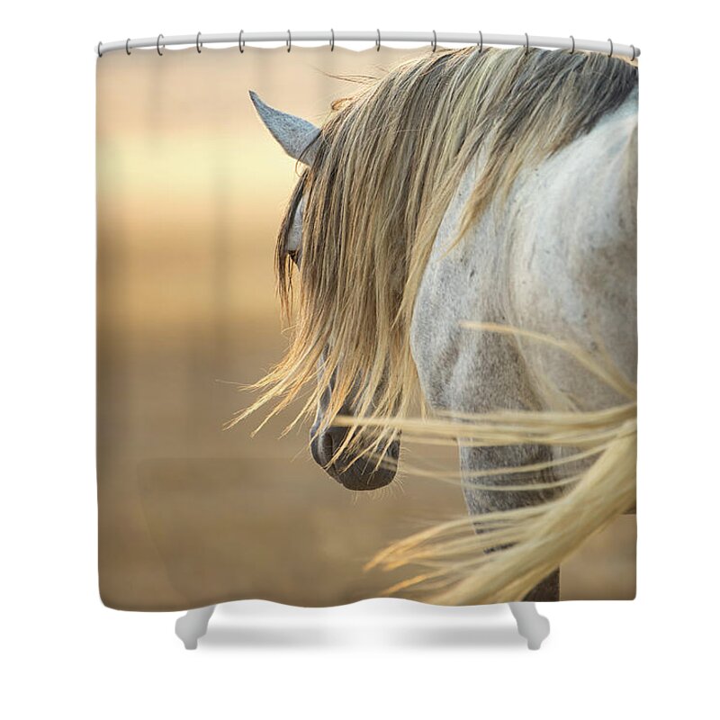 Horse Shower Curtain featuring the photograph Band Stallion Sunrise by Kent Keller