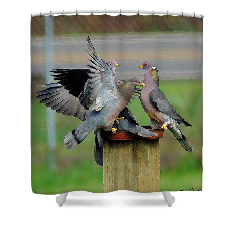 Birds Shower Curtain featuring the photograph Band-Tailed Pigeons #1 by Ben Upham III