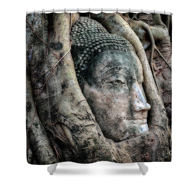 Wat Mahathat Shower Curtain featuring the photograph Banyan Tree Buddha by Adrian Evans