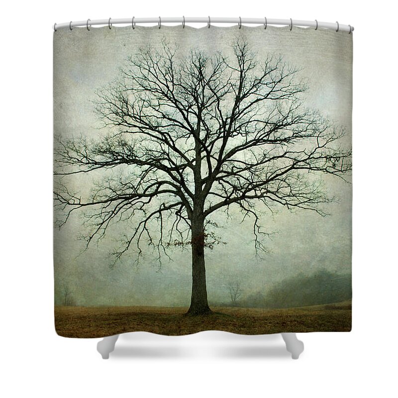 Lone Tree Shower Curtain featuring the photograph Bare Tree and Fog by David Gordon