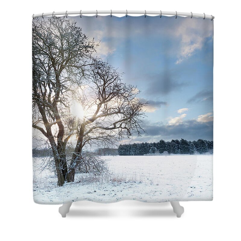 Snow Shower Curtain featuring the photograph Bare tree in a snow field with early sunrise by Simon Bratt