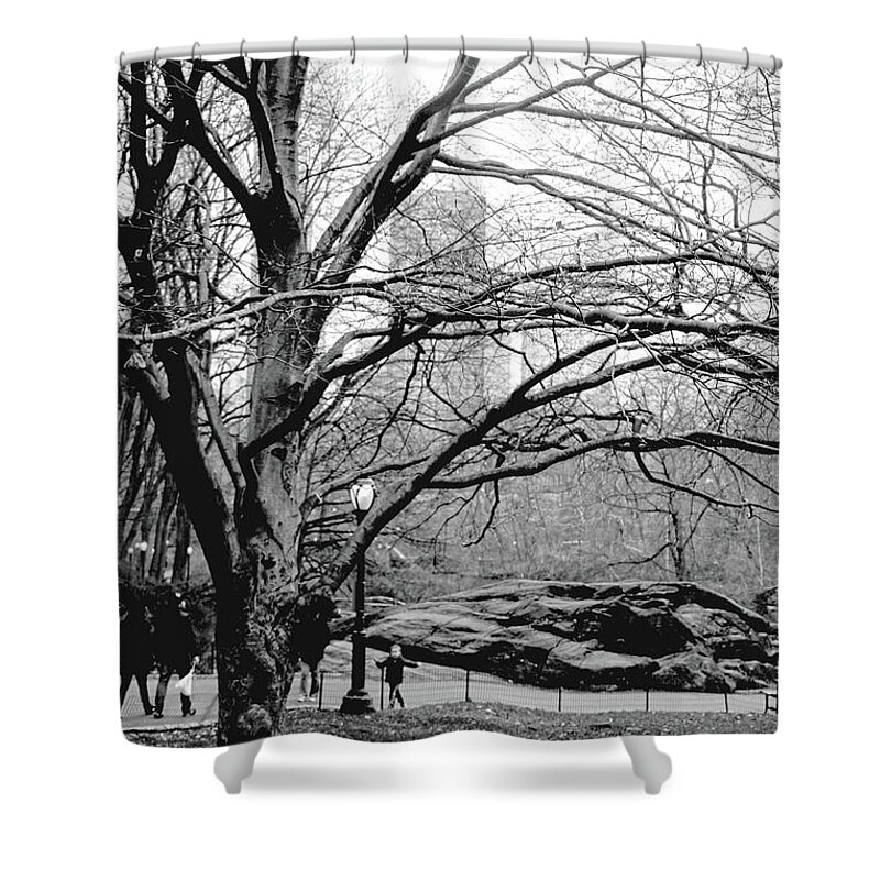 Photograph Shower Curtain featuring the photograph Bare Tree on Walking Path BW by Sandy Moulder