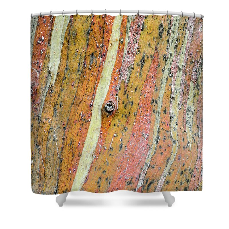Nature Shower Curtain featuring the photograph Bark MF3 by Werner Padarin