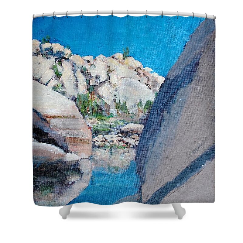 Barker Dam Shower Curtain featuring the painting Barker Dam by Richard Willson