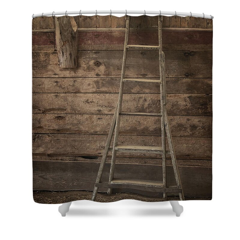 Scott Farm Vermont Shower Curtain featuring the photograph Barn Ladder by Tom Singleton