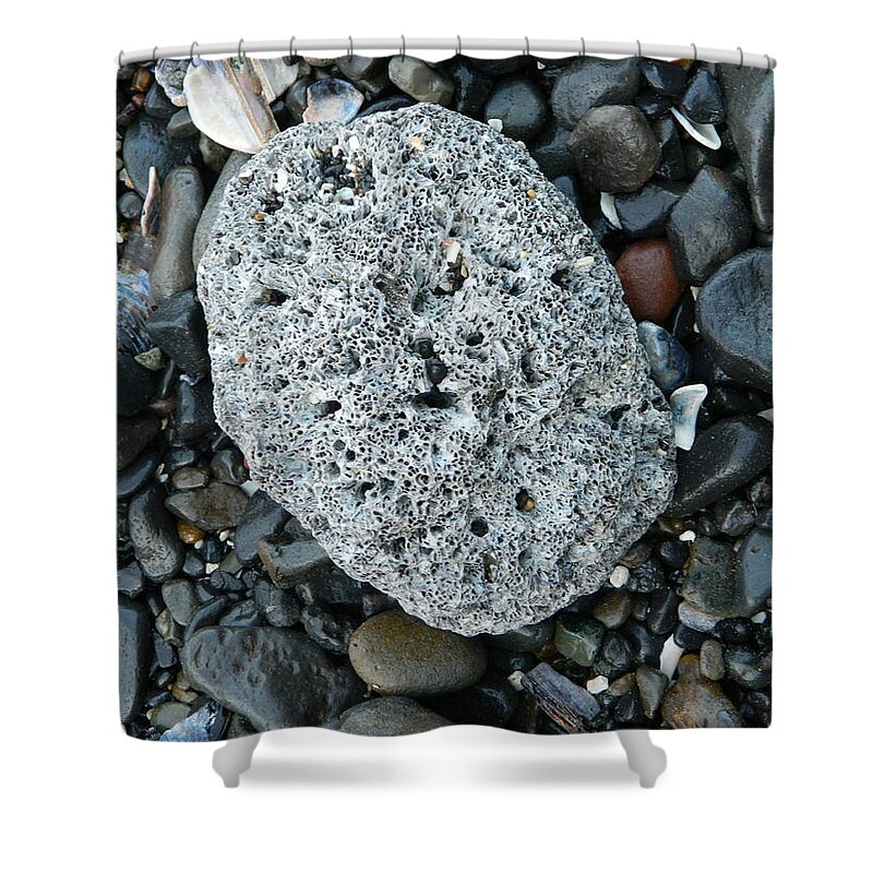 Barnacle Shower Curtain featuring the photograph Barnacle Rock by Gallery Of Hope 