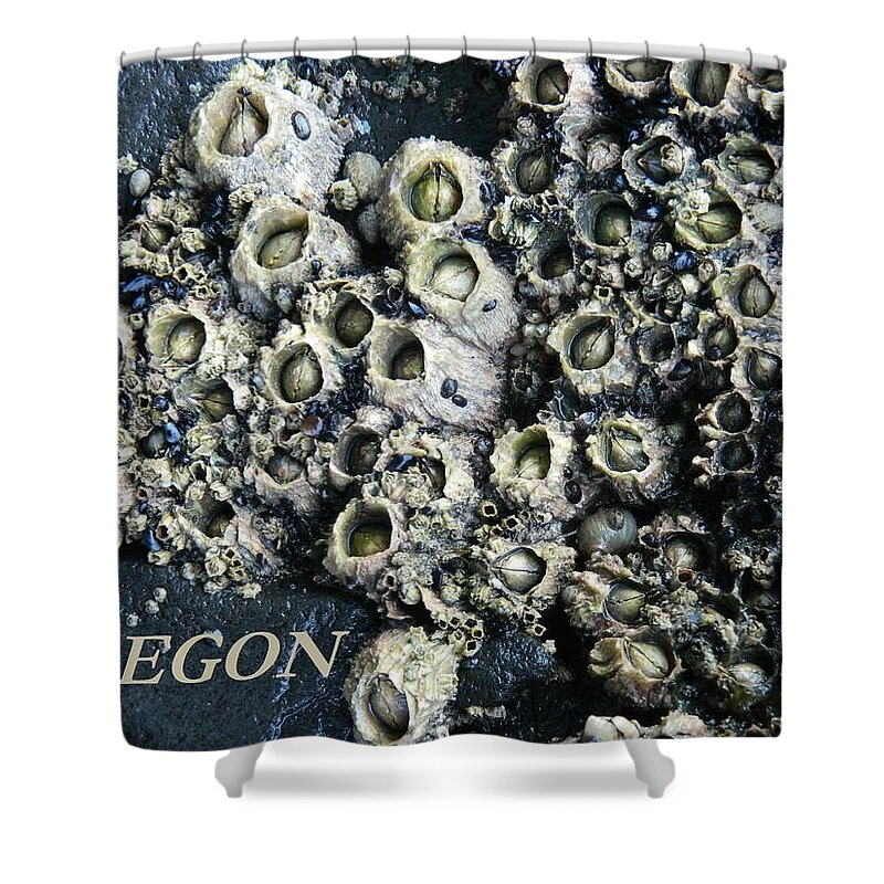 Barnacles Shower Curtain featuring the photograph Barnacles Rock by Gallery Of Hope 