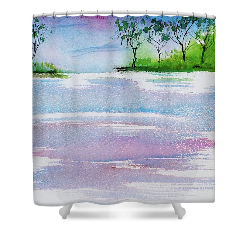 Australia Shower Curtain featuring the painting Gum trees frame the sunset at Barnes Bay by Dorothy Darden