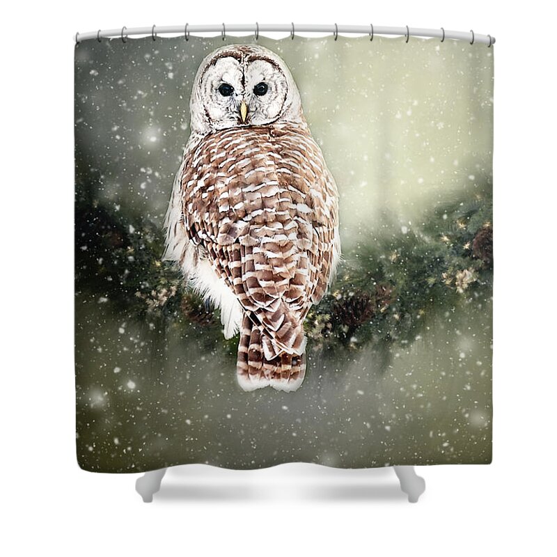 Barred Owl Print Shower Curtain featuring the photograph Barred Owl in the Snow by Gwen Gibson