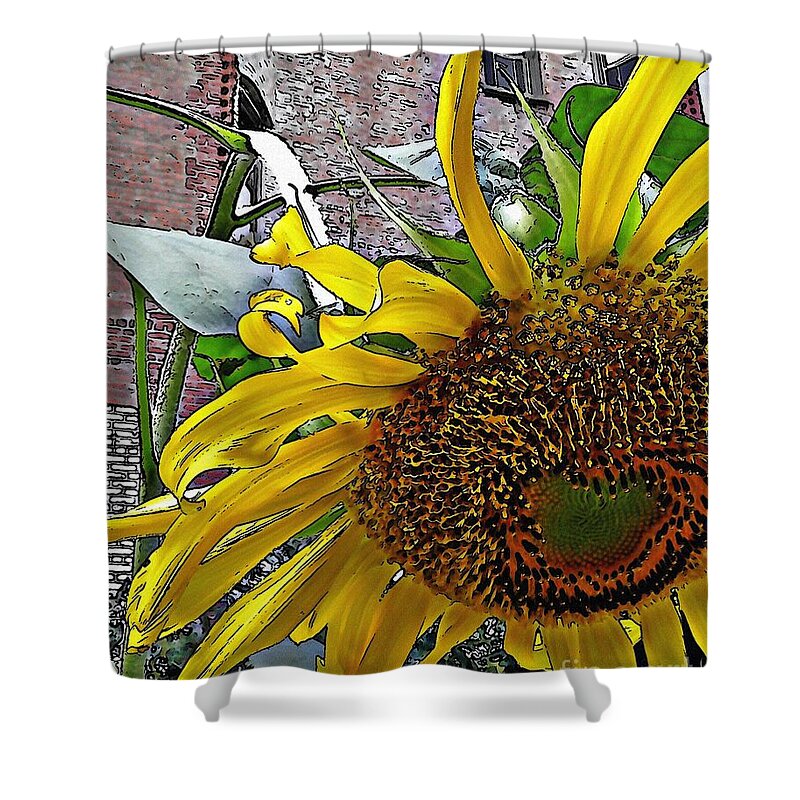 Sunflower Shower Curtain featuring the photograph Barrio Sunflower 3 by Sarah Loft