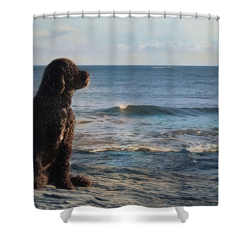 Portuguese Water Dog Shower Curtain featuring the photograph Bask In The Sun by Robin-Lee Vieira