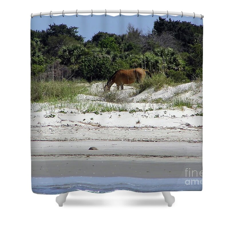 Wild Horse Shower Curtain featuring the photograph Bay At The Beach by D Hackett