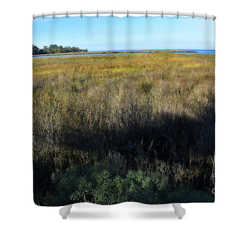Scenic Shower Curtain featuring the photograph Bay's Edge by Skip Willits
