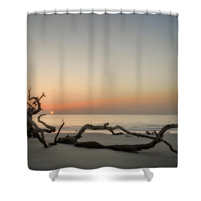 Driftwood Shower Curtain featuring the photograph Beach Art by Greg and Chrystal Mimbs