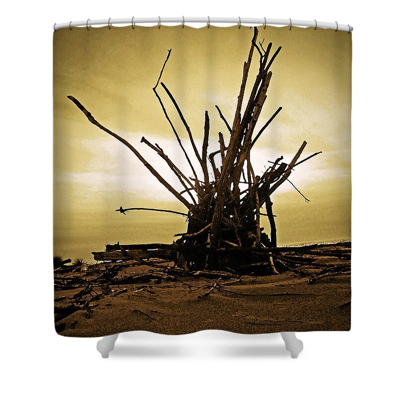 Oregon Shower Curtain featuring the digital art Beach Assemblage by Gary Olsen-Hasek