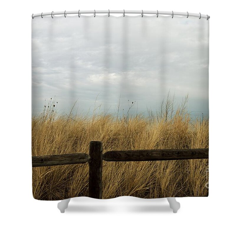 Grass Shower Curtain featuring the photograph Beach Grass by Eunice Miller
