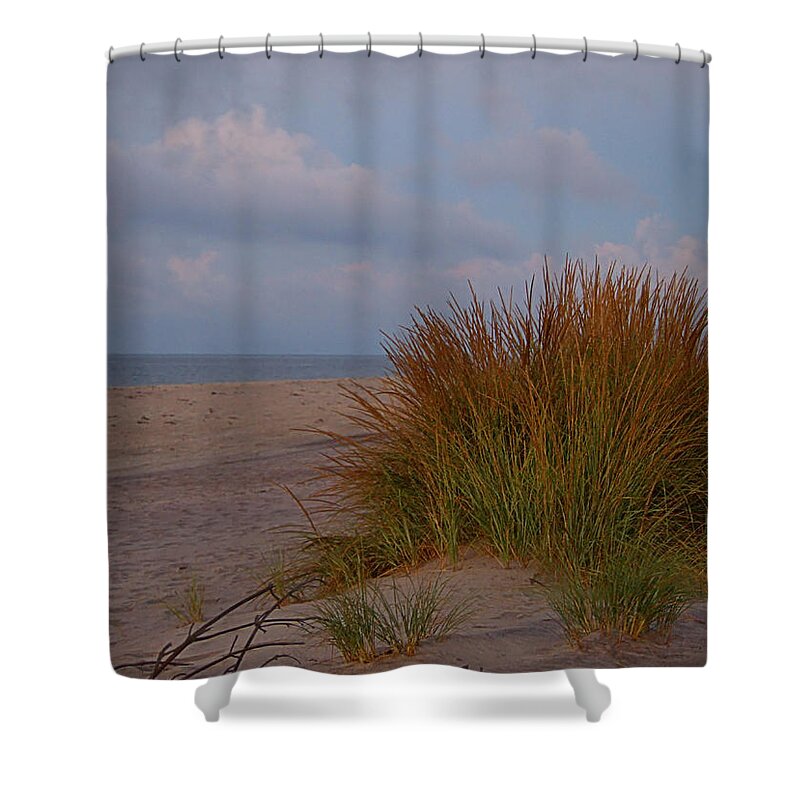Beach Shower Curtain featuring the photograph Beach Grass I I I by Newwwman