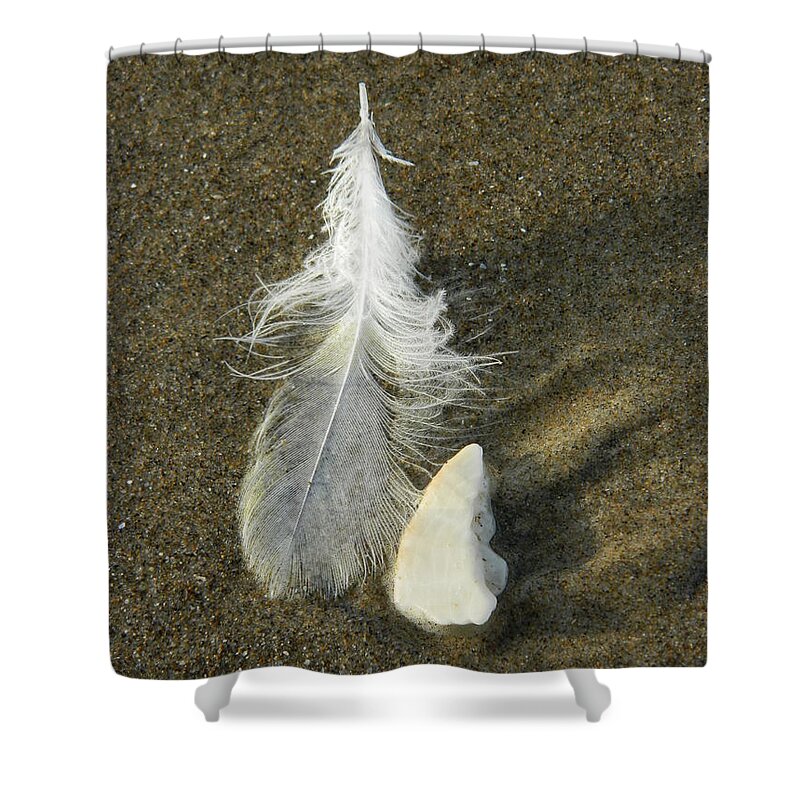 Feathers Shower Curtain featuring the photograph Beach Whiteness by Gallery Of Hope 