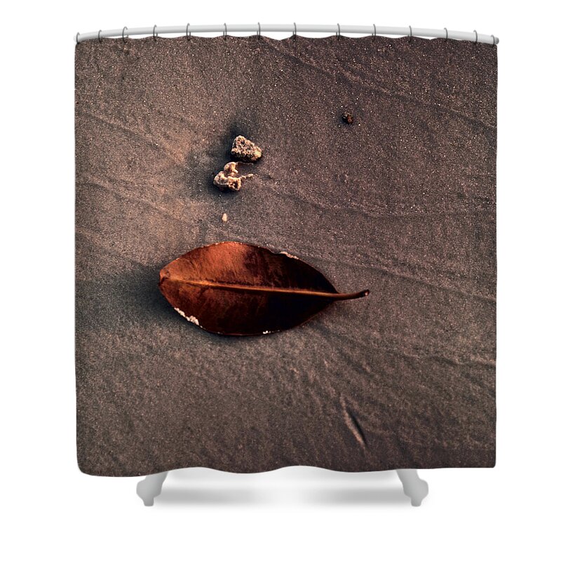 Leaf Shower Curtain featuring the photograph Beached Leaf by Brent L Ander