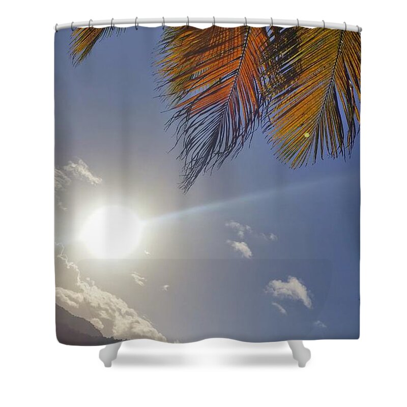 Coconut Palm Shower Curtains