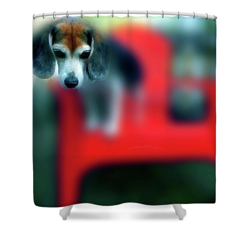 Posters Shower Curtain featuring the digital art Beagle Beba Portrait by Miss Pet Sitter