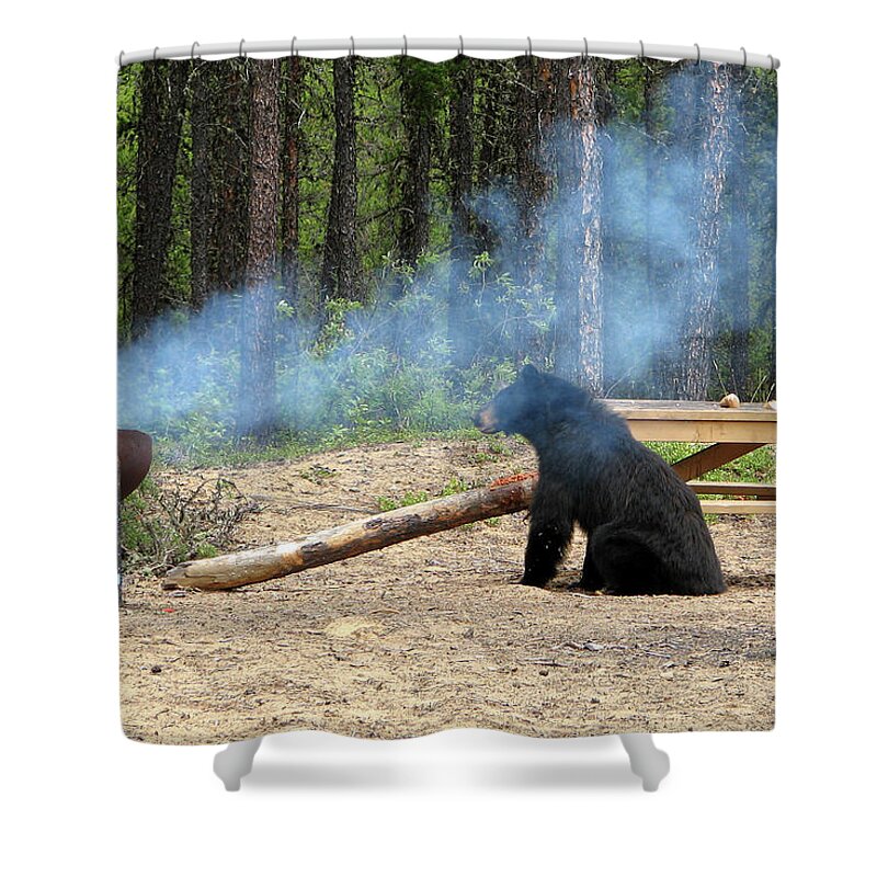 Black Shower Curtain featuring the photograph Bear Chef by Ted Keller