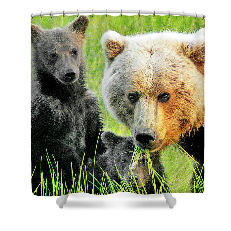 Grizzly Shower Curtain featuring the photograph Bear Family Portraait by Ted Keller