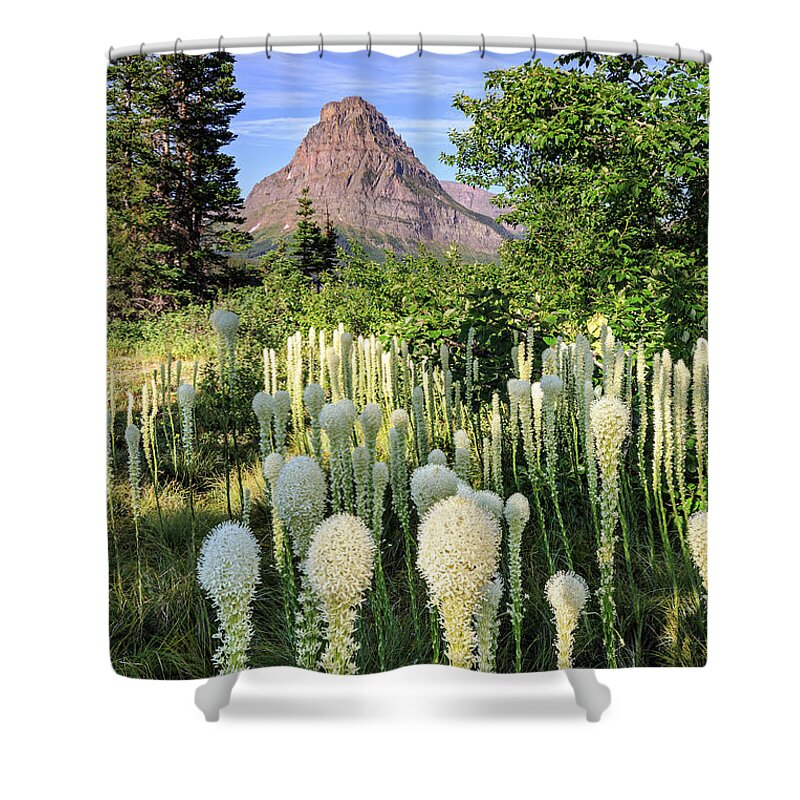 Bear Grass Shower Curtain featuring the photograph Bear Grass at Two Medicine by Jack Bell