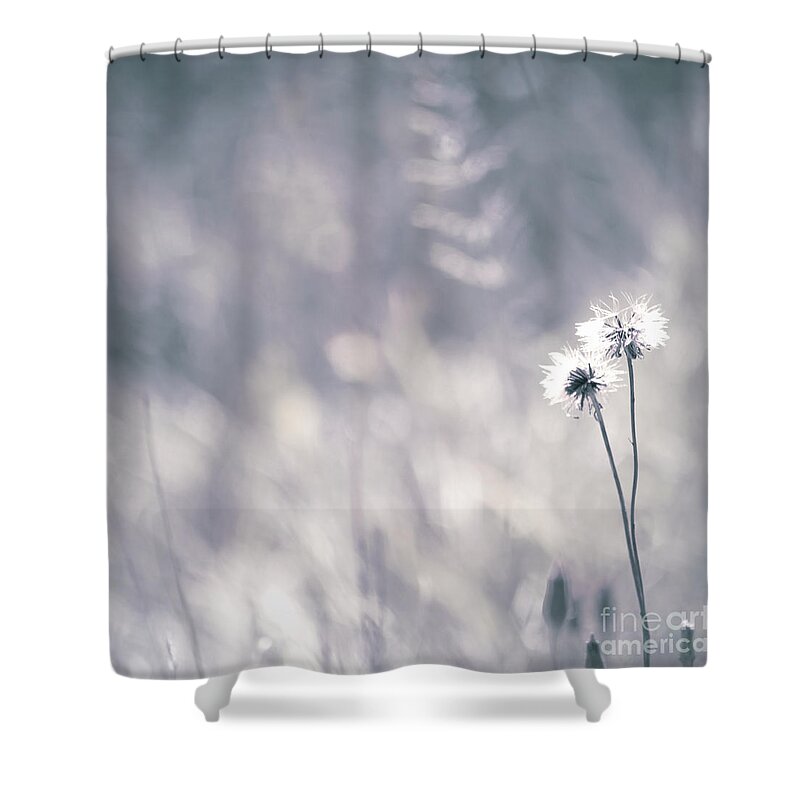 Bw Shower Curtain featuring the photograph Beaute des Champs - 0101 by Variance Collections