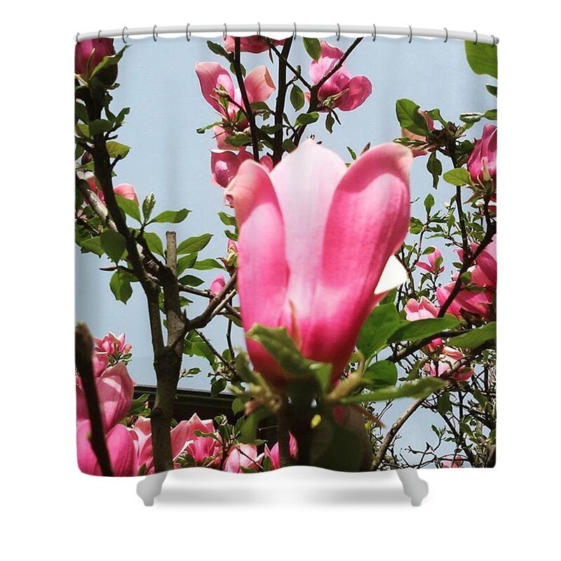 Beautiful Shower Curtain featuring the photograph #beautiful #beauty #dusk #flowers by Elisa Oximoron