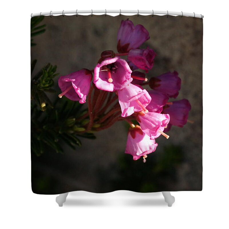 Flower Shower Curtain featuring the photograph Beautiful bells by Jeff Swan