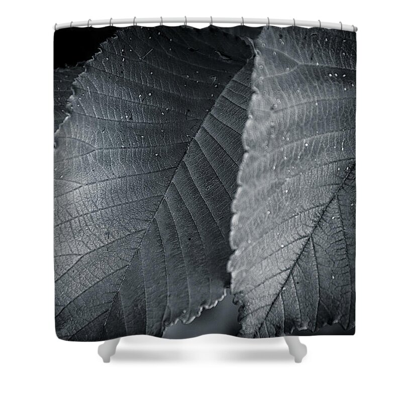 Detail Shower Curtain featuring the photograph Beautiful Detail by Andy Smetzer