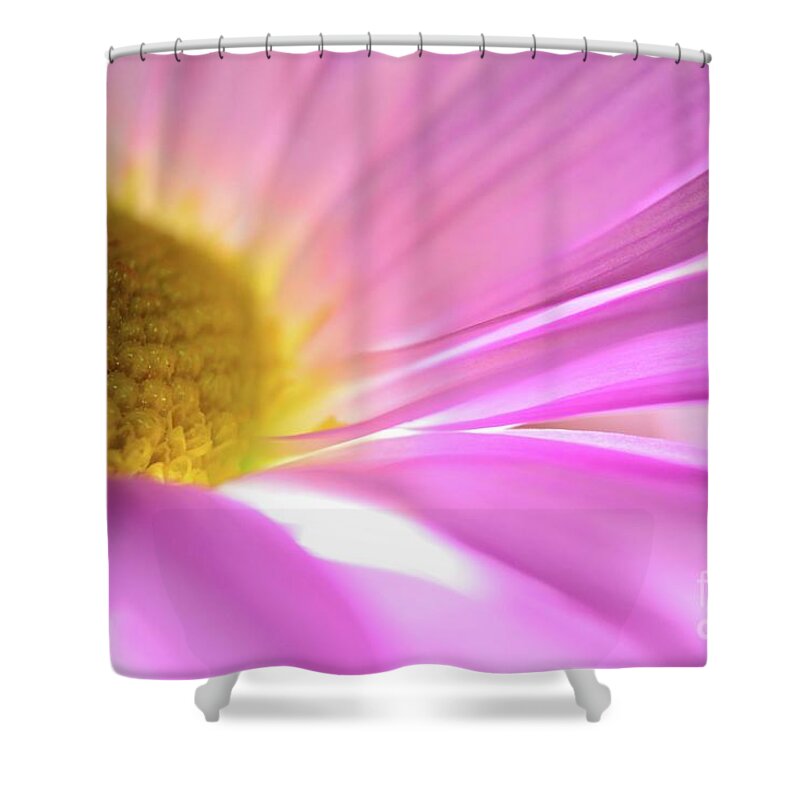 Daisy Shower Curtain featuring the photograph Beautiful Dreamer by Chad and Stacey Hall