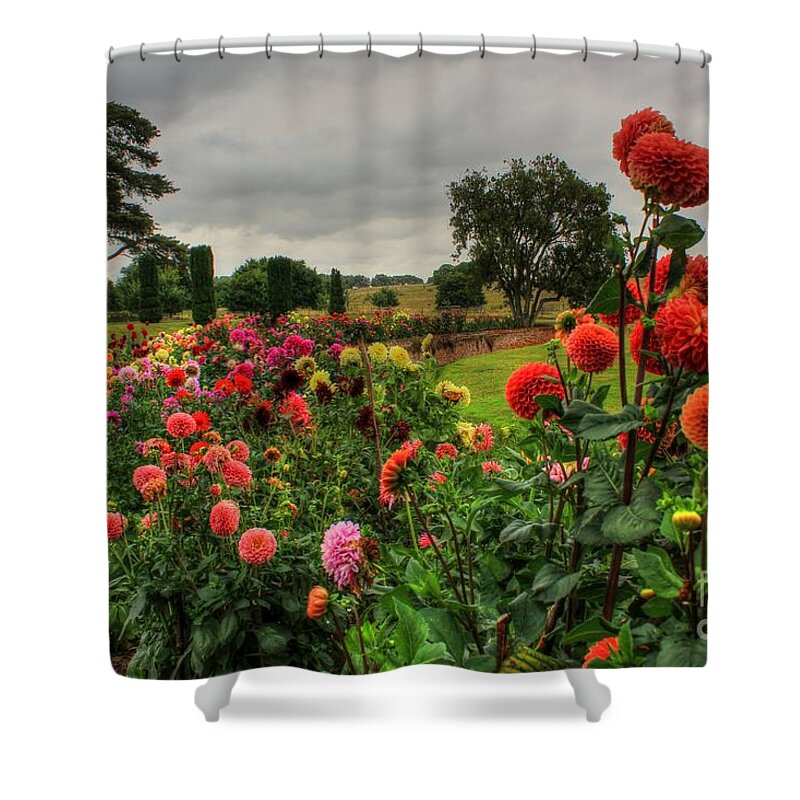 Beautiful Shower Curtain featuring the photograph Beautiful Garden in HDR by Vicki Spindler