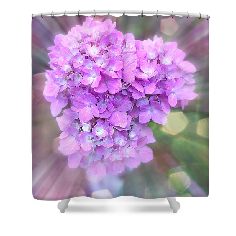 Beautiful Shower Curtain featuring the photograph Beautiful Hydrangea by Lilia S
