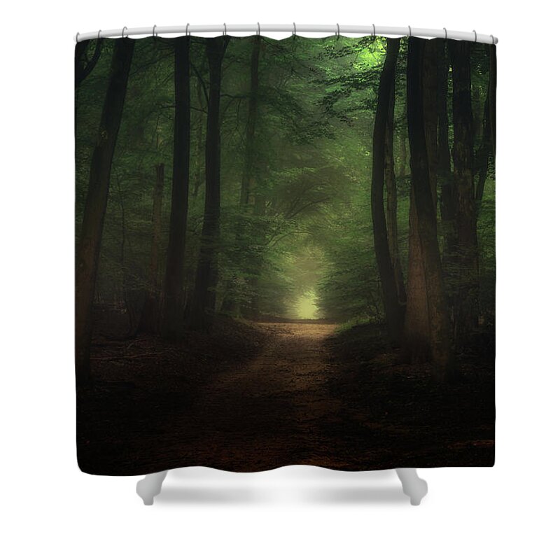 Autumn Shower Curtain featuring the photograph Beautiful morning in Speulderbos forest by Tim Abeln