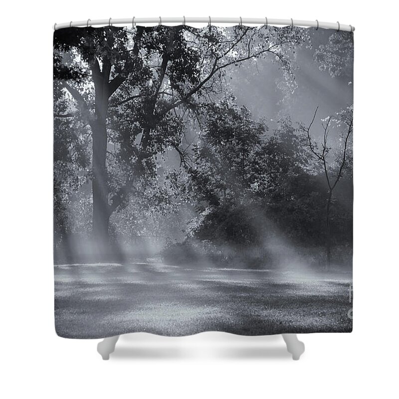 Beautiful Morning Light Shower Curtain featuring the photograph Beautiful Morning Light by Rachel Cohen