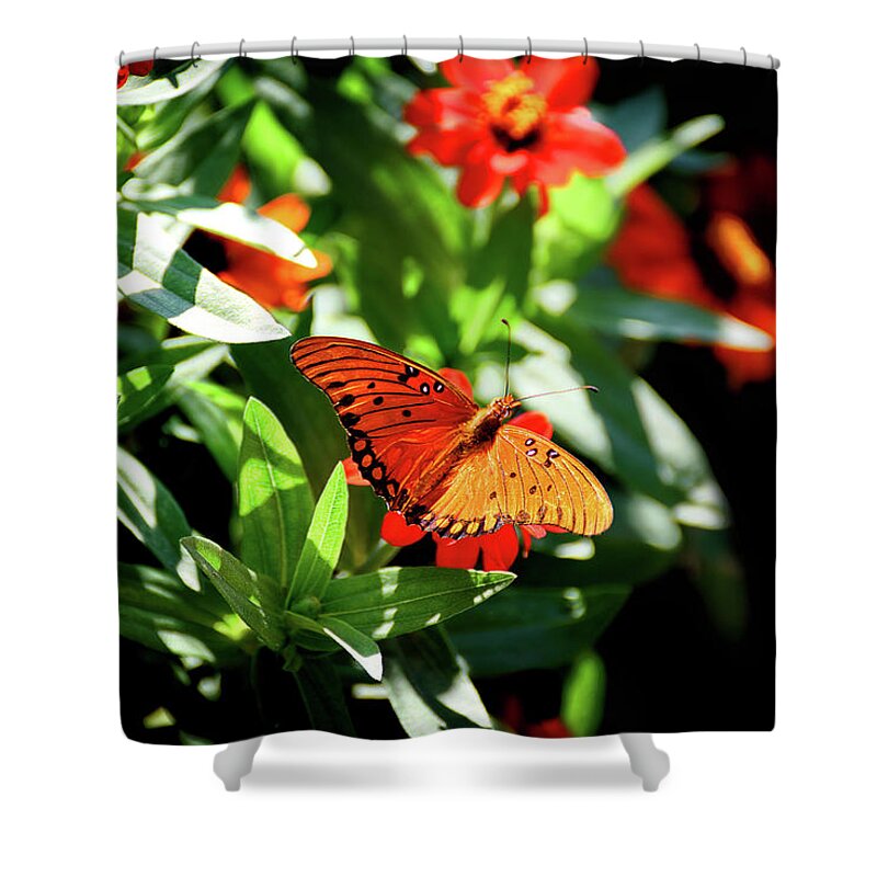 Orange Shower Curtain featuring the photograph Beauty abounds by Camille Lopez