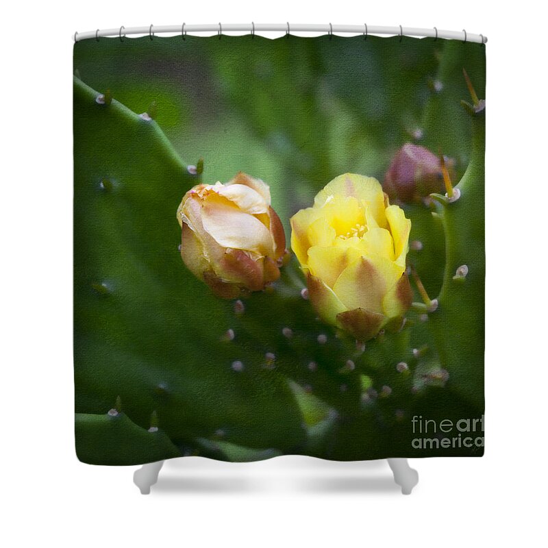 Prickly Pear Shower Curtain featuring the photograph Beauty Among Thorns by Diane Macdonald