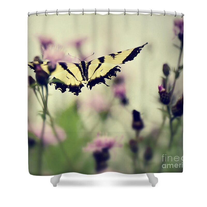 Butterfly Shower Curtain featuring the photograph Beauty and Grace by Kerri Farley